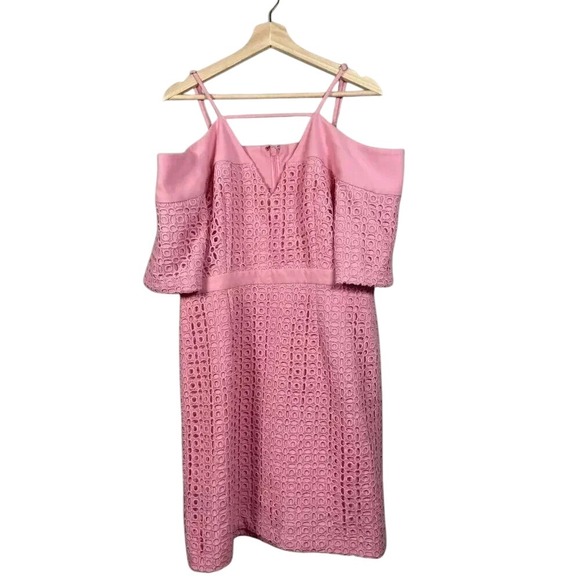 the 8th sign Dresses & Skirts - The 8th Sign Crochet lace Mini Dress Size 16 Pink Girlhoodcore Cottage Retro Mod